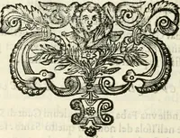 An illustration from Note, overo, Memorie del mvseo di Lodovico Moscardo ... (1656)
