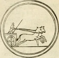An illustration from Note, overo, Memorie del mvseo di Lodovico Moscardo ... (1656)