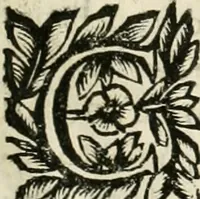 An illustration from Note, overo, Memorie del mvseo di Lodovico Moscardo ... (1656)