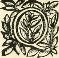 An illustration from Note, overo, Memorie del mvseo di Lodovico Moscardo ... (1656)