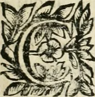 An illustration from Note, overo, Memorie del mvseo di Lodovico Moscardo ... (1656)