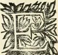 An illustration from Note, overo, Memorie del mvseo di Lodovico Moscardo ... (1656)