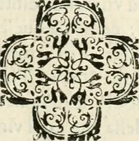 Picture 41 of 232 from Note, overo, Memorie del mvseo di Lodovico Moscardo ... (1656), leaf 50