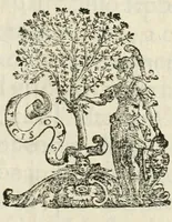 An illustration from Note, overo, Memorie del mvseo di Lodovico Moscardo ... (1656)