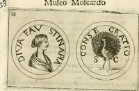 An illustration from Note, overo, Memorie del mvseo di Lodovico Moscardo ... (1656)