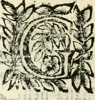 An illustration from Note, overo, Memorie del mvseo di Lodovico Moscardo ... (1656)