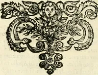 An illustration from Note, overo, Memorie del mvseo di Lodovico Moscardo ... (1656)