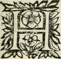 An illustration from Note, overo, Memorie del mvseo di Lodovico Moscardo ... (1656)