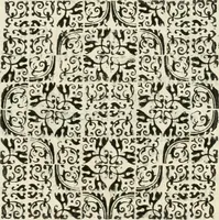 An illustration from Note, overo, Memorie del mvseo di Lodovico Moscardo ... (1656)