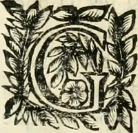 Picture 69 of 232 from Note, overo, Memorie del mvseo di Lodovico Moscardo ... (1656), leaf 73