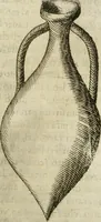 An illustration from Note, overo, Memorie del mvseo di Lodovico Moscardo ... (1656)
