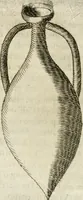 An illustration from Note, overo, Memorie del mvseo di Lodovico Moscardo ... (1656)