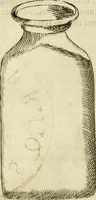 An illustration from Note, overo, Memorie del mvseo di Lodovico Moscardo ... (1656)