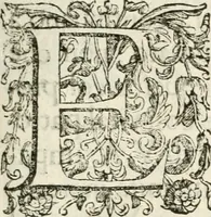 An illustration from Note, overo, Memorie del mvseo di Lodovico Moscardo ... (1656)