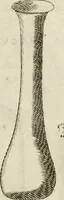 An illustration from Note, overo, Memorie del mvseo di Lodovico Moscardo ... (1656)