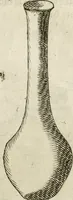 An illustration from Note, overo, Memorie del mvseo di Lodovico Moscardo ... (1656)