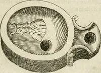 Picture 91 of 232 from Note, overo, Memorie del mvseo di Lodovico Moscardo ... (1656), leaf 86