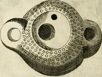 An illustration from Note, overo, Memorie del mvseo di Lodovico Moscardo ... (1656)