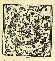 An illustration from Note overo memorie del museo del conte Lodovico Moscardo nobile veronese (1672)