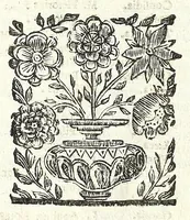 An illustration from Note overo memorie del museo del conte Lodovico Moscardo nobile veronese (1672)