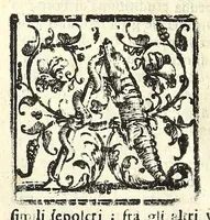 Picture 12 of 58 from Note overo memorie del museo del conte Lodovico Moscardo nobile veronese (1672), leaf 78