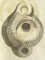 Picture 15 of 58 from Note overo memorie del museo del conte Lodovico Moscardo nobile veronese (1672), leaf 90