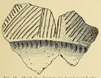 An illustration from Notes on Iroquois archeology (1921)