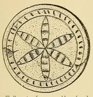 An illustration from Notes on Iroquois archeology (1921)