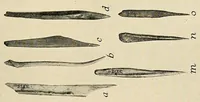 An illustration from Notes on Iroquois archeology (1921)
