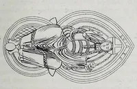 Picture 3 of 31 from Notes on the nimbus (1854), leaf 13