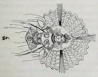 Picture 4 of 31 from Notes on the nimbus (1854), leaf 13