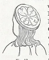 Picture 9 of 31 from Notes on the nimbus (1854), leaf 22