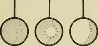 Picture 66 of 142 from Notes on physics (1914), leaf 224