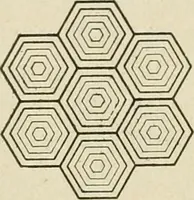 Picture 79 of 142 from Notes on physics (1914), leaf 275