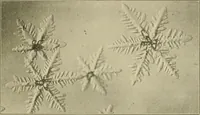 Picture 81 of 142 from Notes on physics (1914), leaf 276