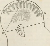An illustration from Notes on the United States of North America, during a phrenological visit in 1838-9-40 (1841)