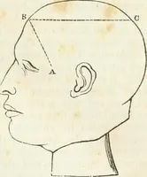 An illustration from Notes on the United States of North America, during a phrenological visit in 1838-9-40 (1841)