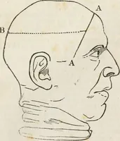 An illustration from Notes on the United States of North America, during a phrenological visit in 1838-9-40 (1841)