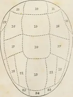 An illustration from Notes on the United States of North America, during a phrenological visit in 1838-9-40 (1841)