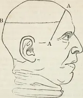 An illustration from Notes on the United States of North America, during a phrenological visit in 1838-9-40 (1841)