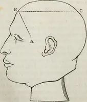 An illustration from Notes on the United States of North America, during a phrenological visit in 1838-9-40 (1841)