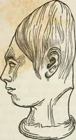 An illustration from Notes on the United States of North America, during a phrenological visit in 1838-9-40 (1841)