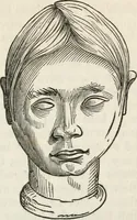 An illustration from Notes on the United States of North America, during a phrenological visit in 1838-9-40 (1841)