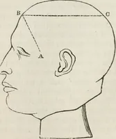 An illustration from Notes on the United States of North America, during a phrenological visit in 1838-9-40 (1841)