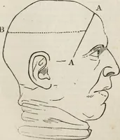 An illustration from Notes on the United States of North America, during a phrenological visit in 1838-9-40 (1841)