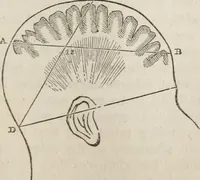 An illustration from Notes on the United States of North America, during a phrenological visit in 1838-9-40 (1841)