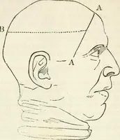 An illustration from Notes on the United States of North America, during a phrenological visit in 1838-9-40 (1841)