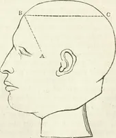An illustration from Notes on the United States of North America, during a phrenological visit in 1838-9-40 (1841)