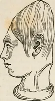 An illustration from Notes on the United States of North America, during a phrenological visit in 1838-9-40 (1841)