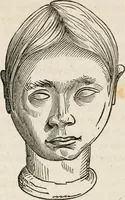 An illustration from Notes on the United States of North America, during a phrenological visit in 1838-9-40 (1841)